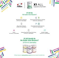 X1 ALL Yaz Lımonu - 0,75 L